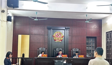 Viện KSND huyện Sóc Sơn tăng cường xét xử các vụ án hình sự rút kinh nghiệm